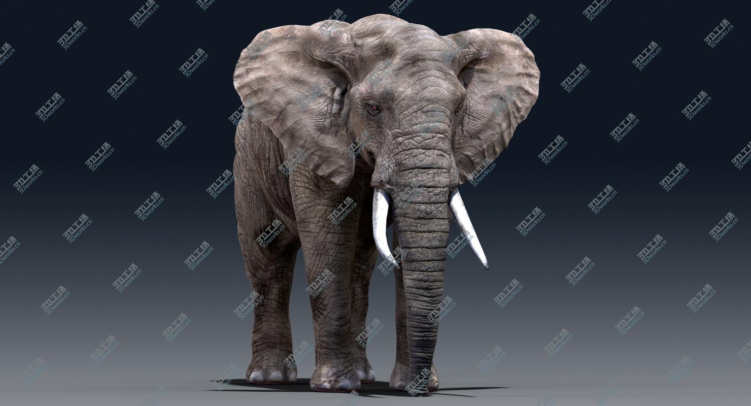 images/goods_img/202104022/Elephant(Rigged) 3D model/3.jpg